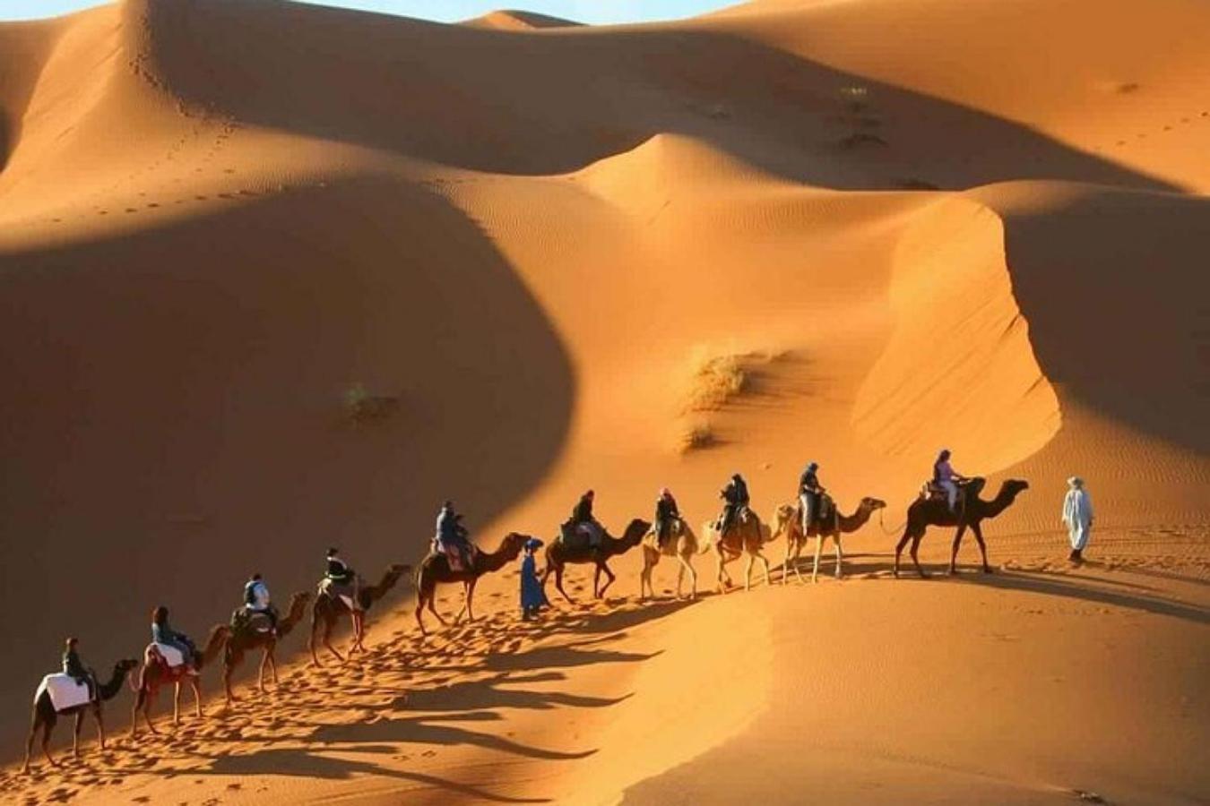 Dunes Berber Camp Tente de luxe 5*